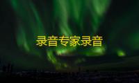 录音专家录音